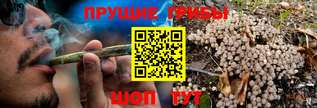 Галлюциногенные грибы GOLDEN TEACHER  Вход с VPN  Урай  Галлюциногенные грибы прущие грибы 
